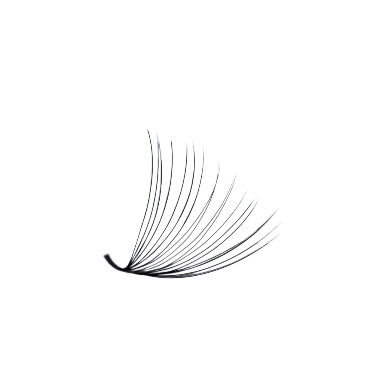 3D LASHBOOK Promade Volume Fans 3D LASHBOOK Promade Volume Fans